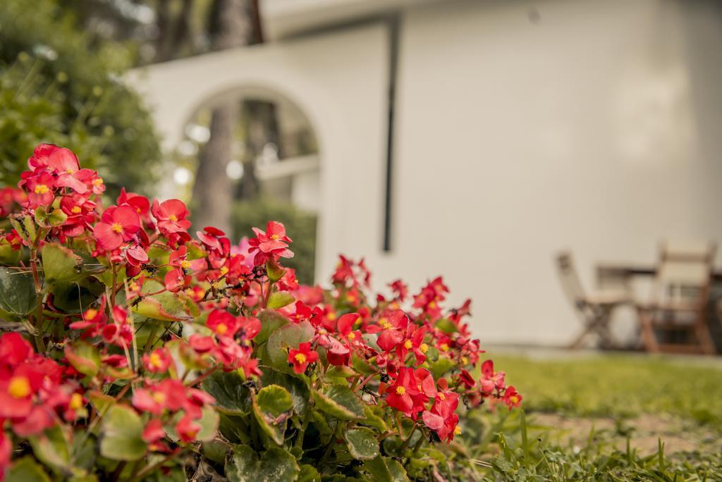 Beautiful Holiday Villa In Sani Sani  Eksteriør billede